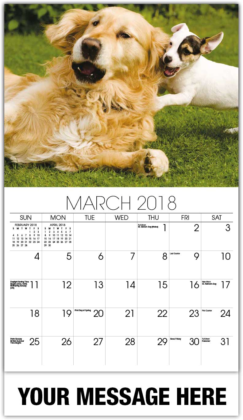 Household pets and animals calendar 65 promotional calendars in bulk